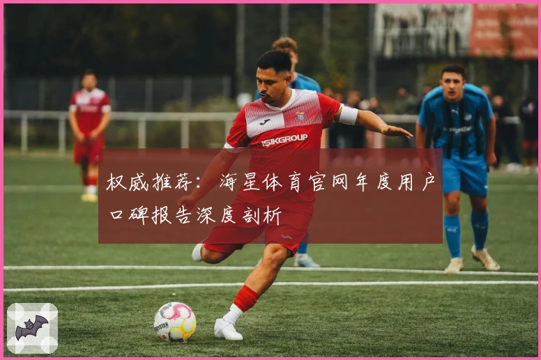 权威推荐：海星体育官网年度用户口碑报告深度剖析