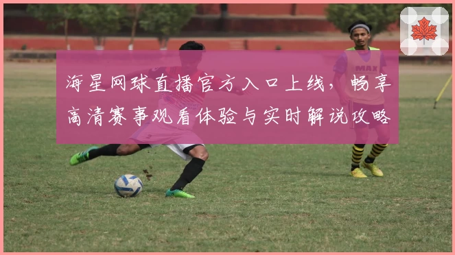 海星网球直播官方入口上线，畅享高清赛事观看体验与实时解说攻略