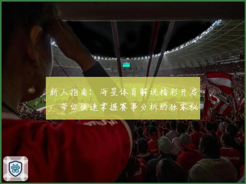 新人指南：海星体育解说精彩开启，带你快速掌握赛事分析的独家秘诀